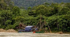 Loreto: Identifican 18 nuevas infraestructuras mineras a lo largo del río Tigre