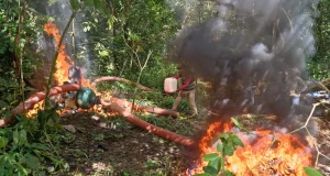 Huánuco: Destruyen maquinaria de minería ilegal en el Área de Conservación Regional Bosque Montano de Carpish