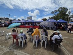 PUINAHUA: MEDIAS VERDADES Y UNA GRAN MENTIRA