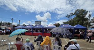 PUINAHUA: MEDIAS VERDADES Y UNA GRAN MENTIRA