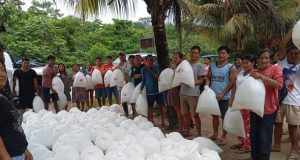 MÁS DE 30 MIL ALEVINOS FUERON ENTREGADOS A PRODUCTORES DEL DATEM DEL MARAÑÓN