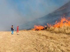 Puno: Incendio forestal arrasa sectores de Tiquillaca