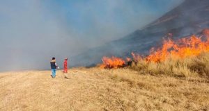 Puno: Incendio forestal arrasa sectores de Tiquillaca