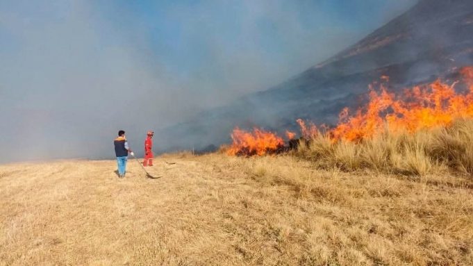 Puno: Incendio forestal arrasa sectores de Tiquillaca