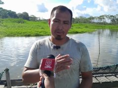 CRIANZA DE PAICHE EN JAULAS FLOTANTES EN SAN JUAN DE PAUCAR DE PUINAHUA