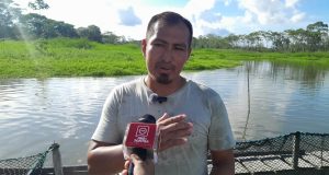 CRIANZA DE PAICHE EN JAULAS FLOTANTES EN SAN JUAN DE PAUCAR DE PUINAHUA