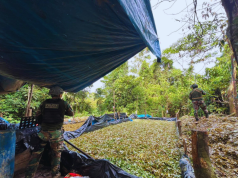 Amazonas: DIRANDRO destruye tres laboratorios de PBC en una zona de Nieva