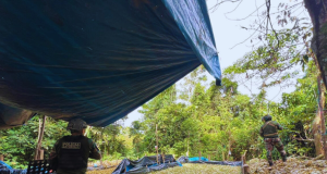 Amazonas: DIRANDRO destruye tres laboratorios de PBC en una zona de Nieva