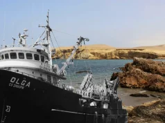 El futuro de Paracas en manos del Poder Judicial: Se acerca el fallo que decidirá si la pesca industrial podrá ingresar a las áreas naturales protegidas