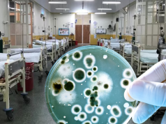 Alerta sanitaria en Cusco tras confirmar brote de superbacteria hospitalaria que causa la muerte