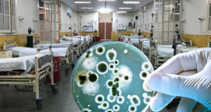 Alerta sanitaria en Cusco tras confirmar brote de superbacteria hospitalaria que causa la muerte