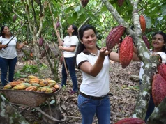 Del grano a la barra: Perú protagoniza la mayor revolución del chocolate a nivel mundial en los últimos 15 años