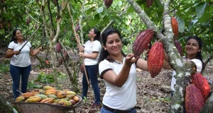 Del grano a la barra: Perú protagoniza la mayor revolución del chocolate a nivel mundial en los últimos 15 años