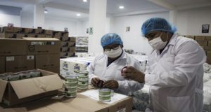 Arequipa: colegios con riesgo por falta de fumigación y control de alimentos de Wasi Mikuna