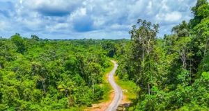 VÍA RURAL PICUROYACU–GEN GEN REGISTRA UN 70% DE PROGRESO EN SU EJECUCIÓN