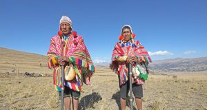 Fernández sobre el agro: “La orientación del país es simplemente a la codicia, a los que ganan más hay que darles todo”