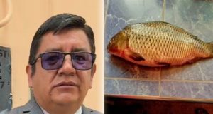 Lago Titicaca: Mediante ordenanza regional prohibirán la crianza del pez carpa