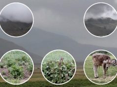La lluvia: Única promesa que se cumple en el campo olvidado