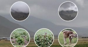 La lluvia: Única promesa que se cumple en el campo olvidado