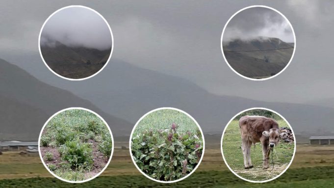 La lluvia: Única promesa que se cumple en el campo olvidado