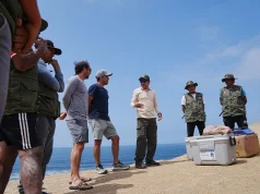 La alianza en la Reserva Nacional de Paracas que une a la alta cocina con la pesca artesanal