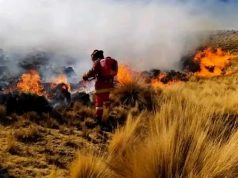 Puno refuerza alerta por riesgo de incendios forestales este 10 de diciembre
