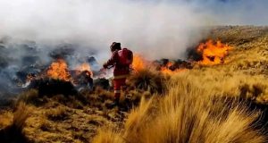 Puno refuerza alerta por riesgo de incendios forestales este 10 de diciembre