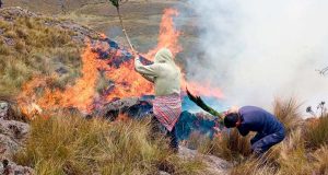 Ayacucho registra 200 hectáreas afectadas por incendios y evalúa emergencia por sequía
