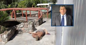Asesinan a expresidente del Colegio de Ingenieros de Ayacucho en Unión Asháninka