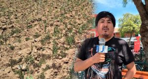 Especialista advierte que falta de reforestación pone en riesgo a Ayacucho frente a futuras sequías