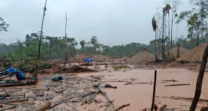2025: Delitos ambientales como minería ilegal y tráfico de animales dejaron 812 sentencias