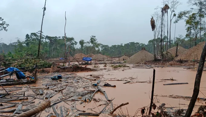 2025: Delitos ambientales como minería ilegal y tráfico de animales dejaron 812 sentencias