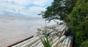 ELECTRIFICACIÓN RURAL EN PUNCHANA YA ES UNA REALIDAD: LLEGAN LOS PRIMEROS POSTES DE ALUMBRADO AL DISTRITO