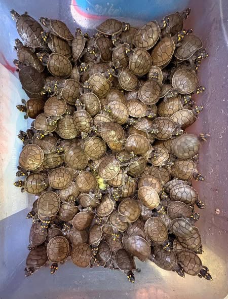 615235043_1226281646263938_7773571601344579900_n