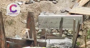 Derrumbes, pérdidas agrícolas y deterioro vial en la selva de Cusco: Agricultores denuncian abandono estatal