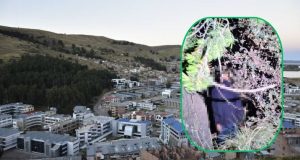 Puno: hallan el cuerpo sin vida de un joven en el bosque de la ciudad universitaria de la UNA