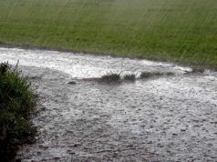 Gobierno declara emergencia en 29 distritos de Puno por lluvias intensas