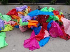 EL TÍO VLADI HACE HISTORIA EN MAYNAS: PARAGUAS DECORATIVOS TERMINAN EN EL SUELO EN LA ALAMEDA
