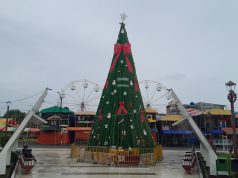 NAVIDAD FUERA DE FECHA PERMANECE EN LA PLAZA GRAU