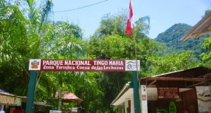 Parque Nacional Tingo María superó su meta anual de visitas y mantuvo 95 % de conservación en 2025