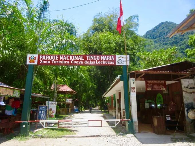 Parque Nacional Tingo María superó su meta anual de visitas y mantuvo 95 % de conservación en 2025