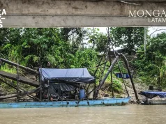 La imparable destrucción que dejan las mafias de oro y madera en las comunidades del río Santiago