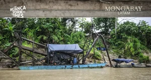 La imparable destrucción que dejan las mafias de oro y madera en las comunidades del río Santiago