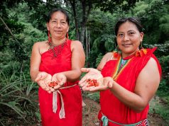 Exportaciones de café generaron US$ 1,796 millones y beneficiaron a más de 200 mil de familias durante 2025