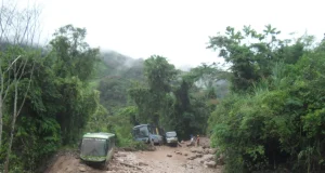 Lluvias intensas dejan 37 fallecidos y ponen en riesgo a 137 distritos de la selva