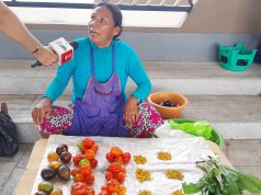 VENDEDORES DE LA MARINA LOGRAN VENTAS EN ZONA CULTURAL