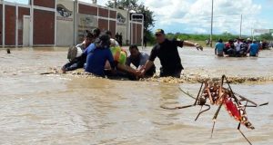 DIRESA alerta por aumento de casos de dengue en Piura