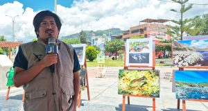 Disminución de anfibios en Ayacucho enciende alerta por contaminación, expansión urbana y posibles efectos en salud pública