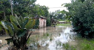 “NUEVA INDEPENDENCIA” EXIGE VEREDA