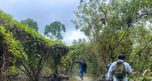 IIAP identifica al camu-camu del Putumayo como reserva genética única en la Amazonía peruana